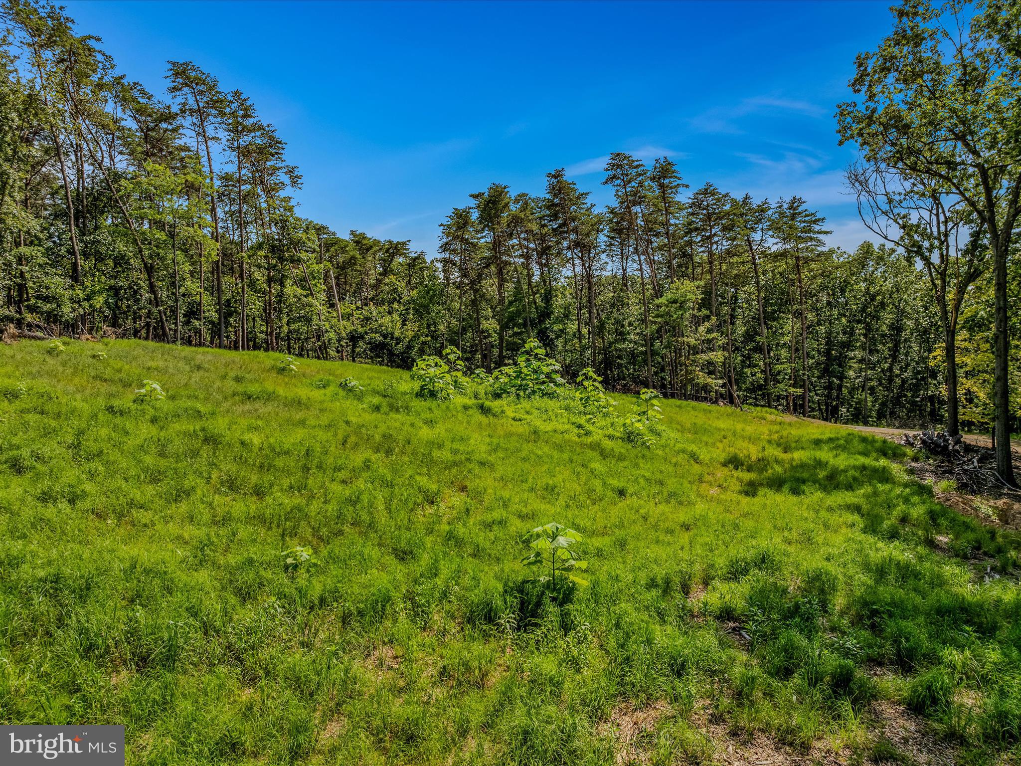 MEREDITH RIDGE - Land