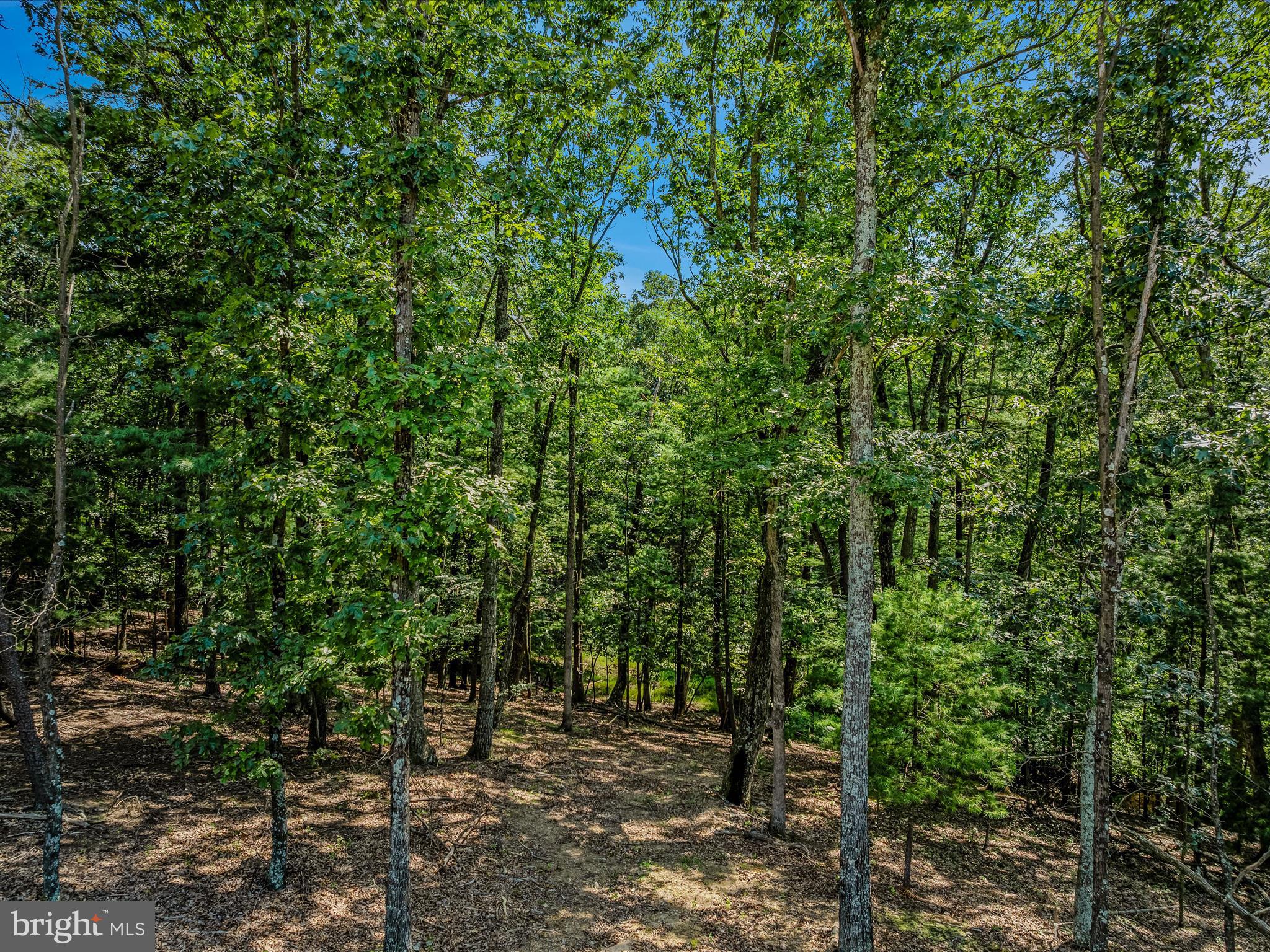 MEREDITH RIDGE - Land