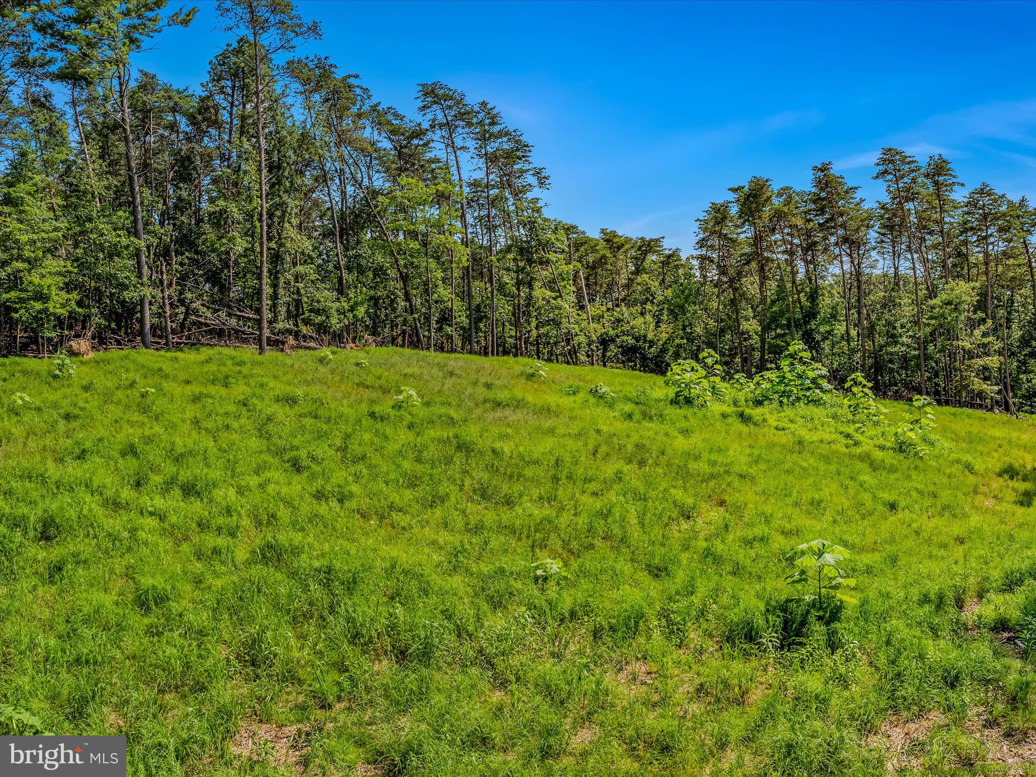 MEREDITH RIDGE - Land