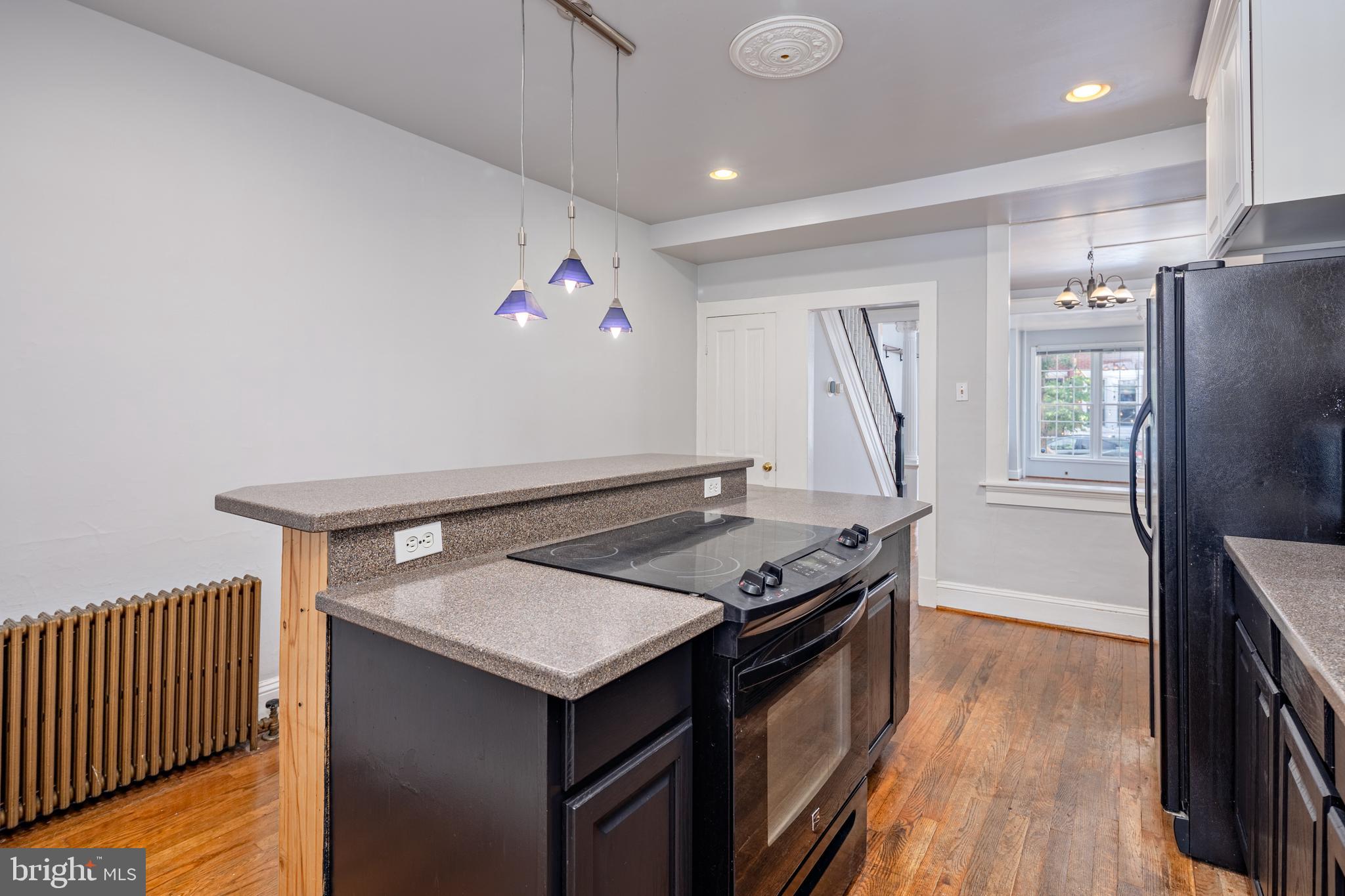 FEDERAL HILL HISTORIC DISTRICT - Residential