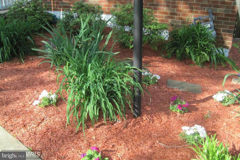 DALE CITY - Residential Lease