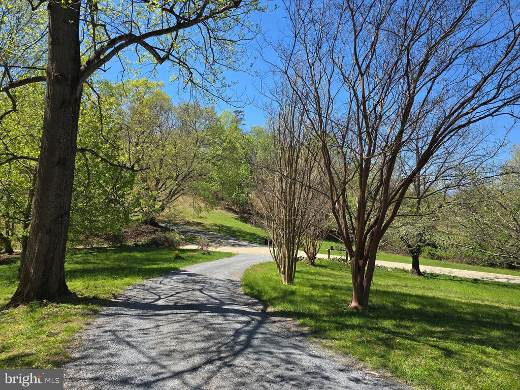 Photo of 199 Blue Rock Lane, ROSELAND, VA 22967 (MLS # VANL2000654)