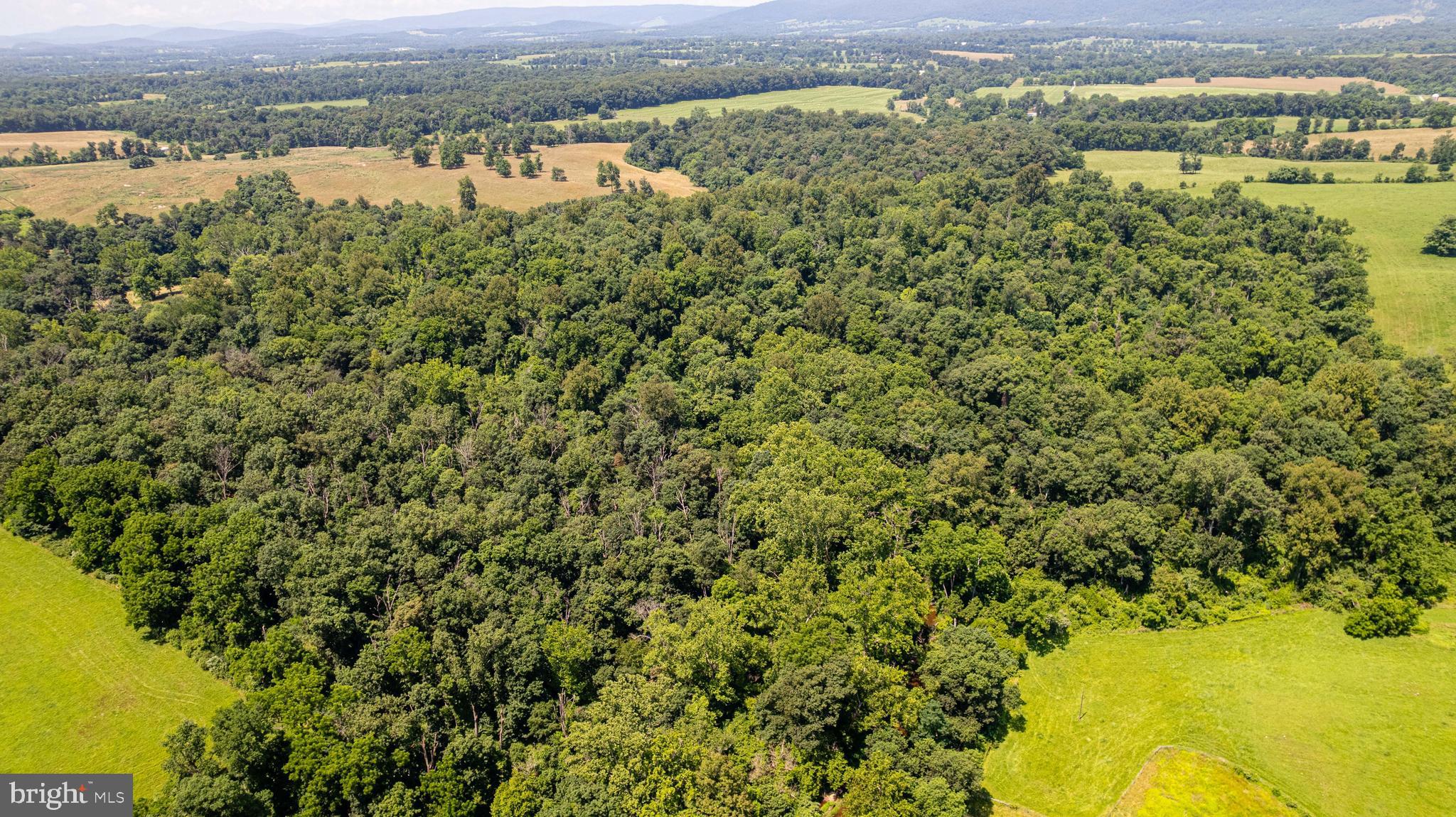 BEAVER DAM - Residential
