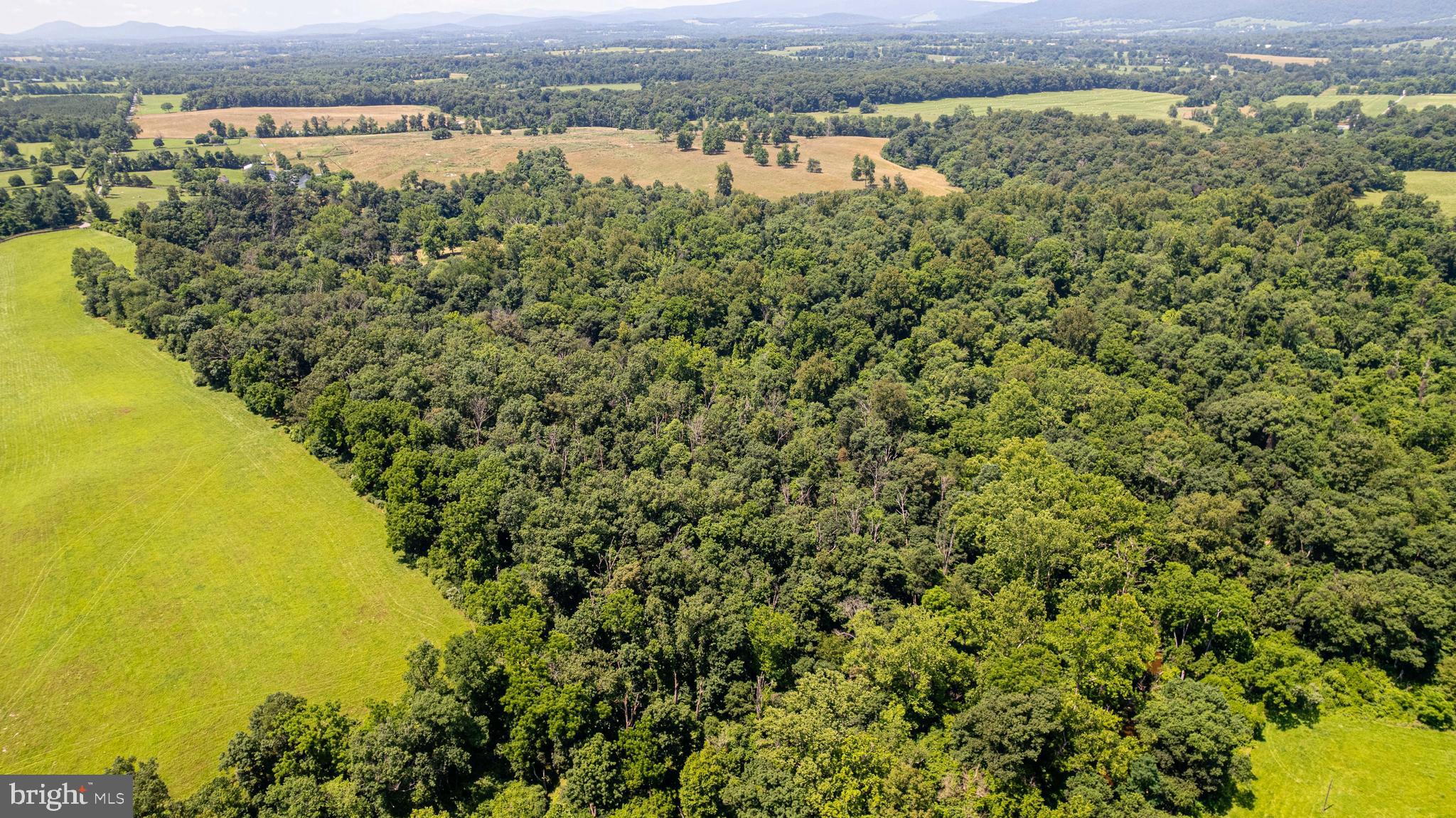 BEAVER DAM - Residential