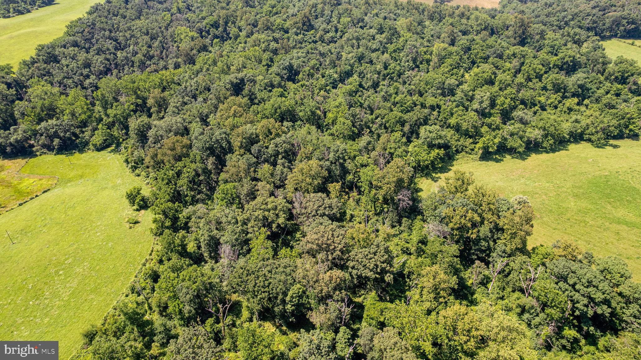 BEAVER DAM - Residential