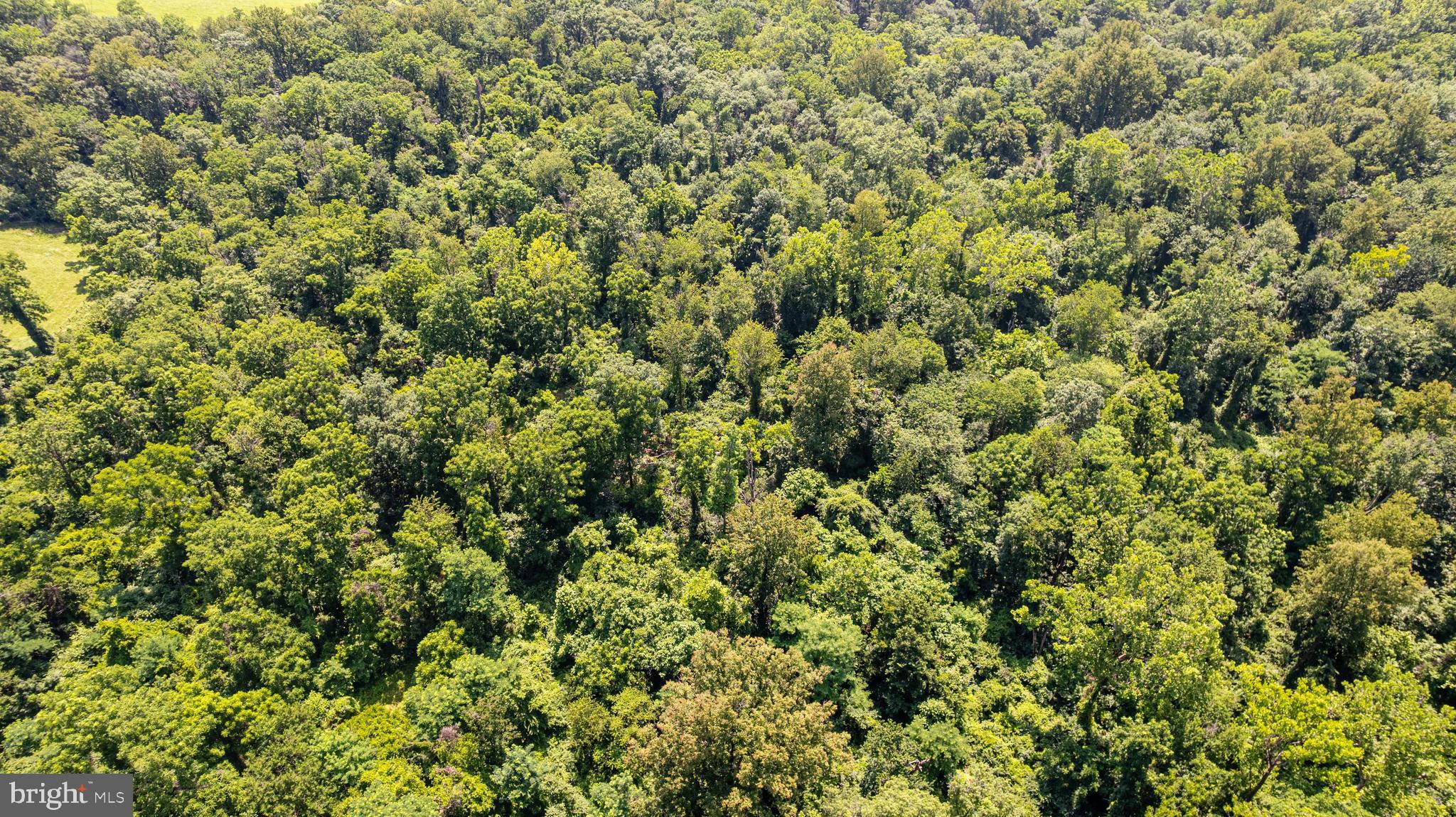BEAVER DAM - Residential