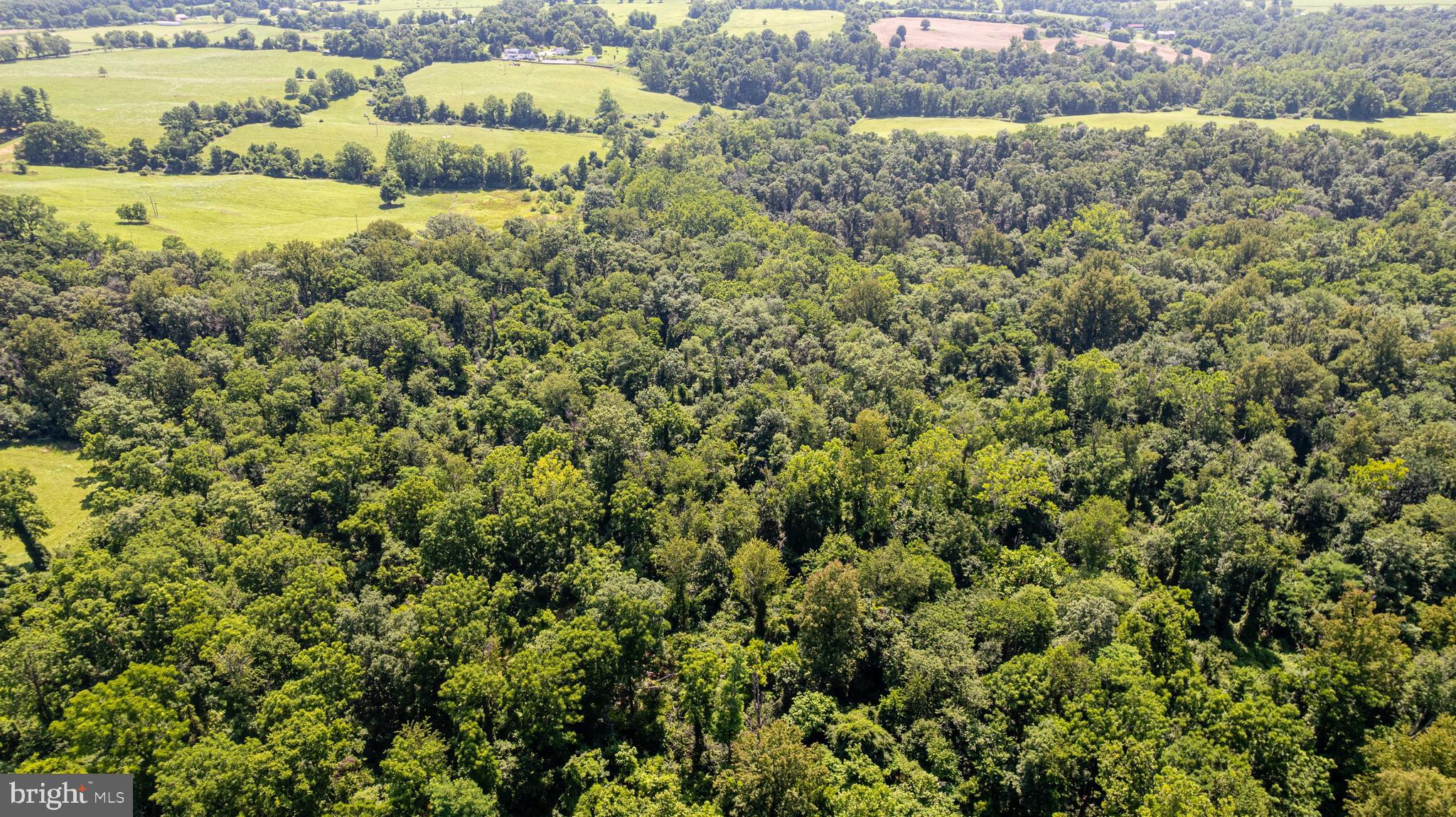 BEAVER DAM - Residential