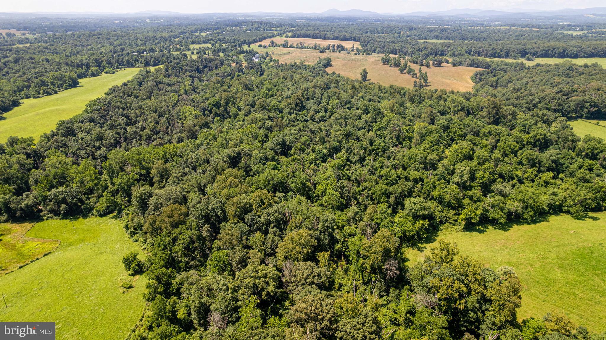 BEAVER DAM - Residential