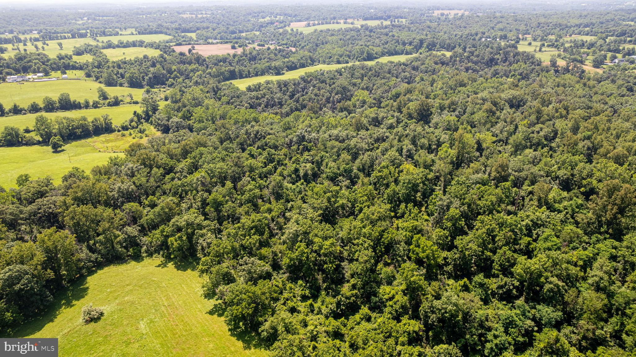 BEAVER DAM - Residential