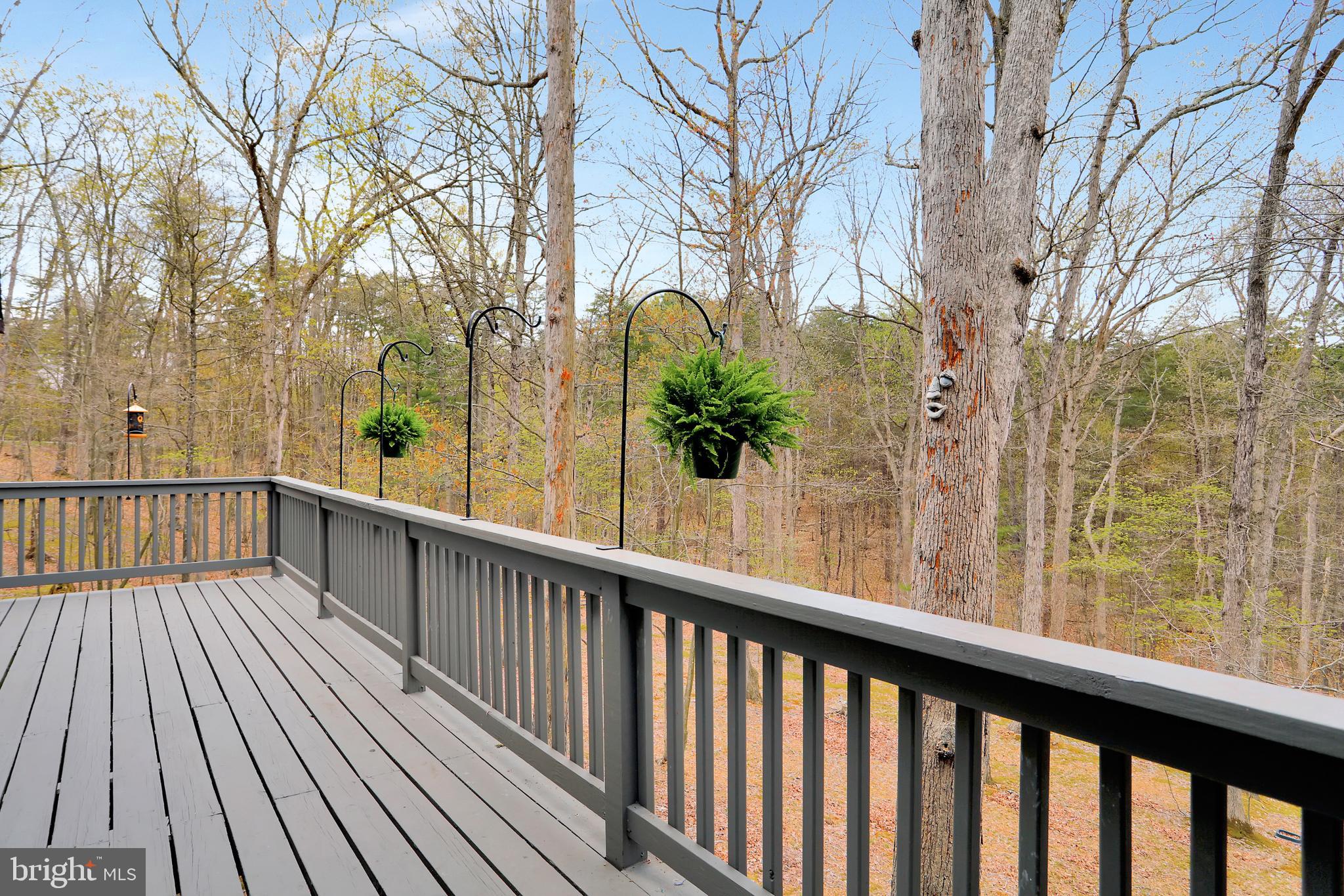 THE WOODS - Residential