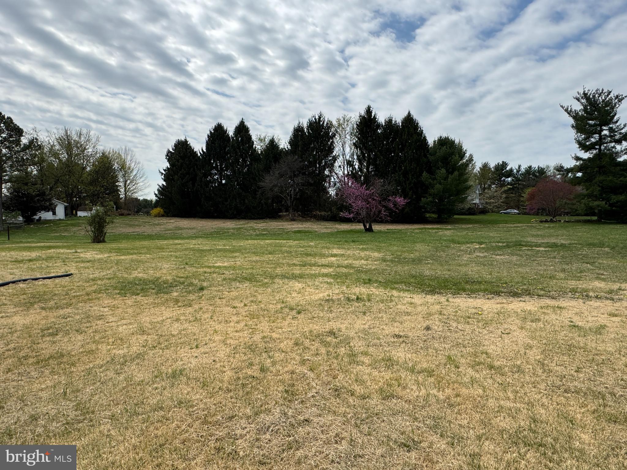 BRADDOCK ESTATES - Residential