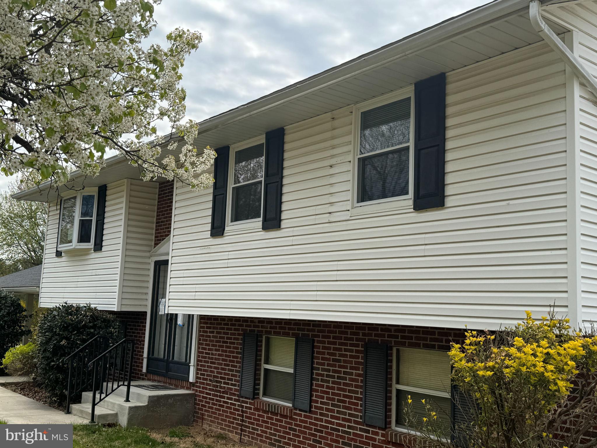 BRADDOCK ESTATES - Residential