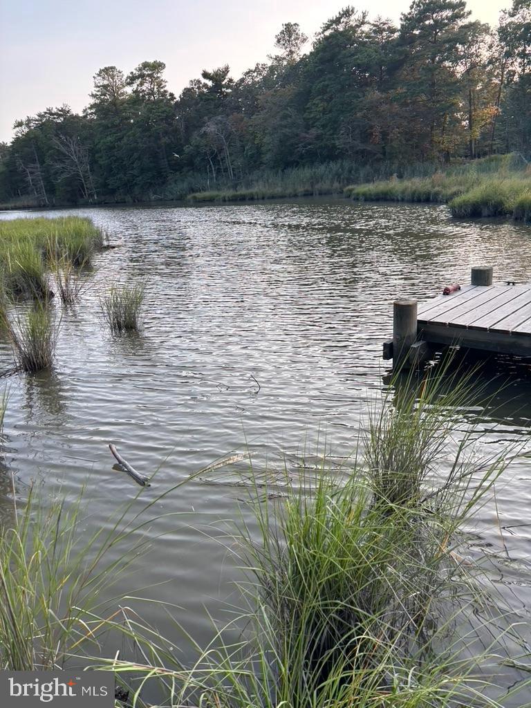 FOUR SEASONS AT BELLE TERRE - Residential