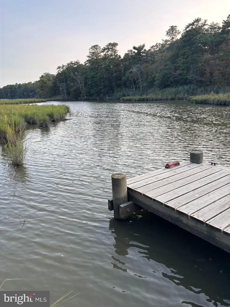 FOUR SEASONS AT BELLE TERRE - Residential