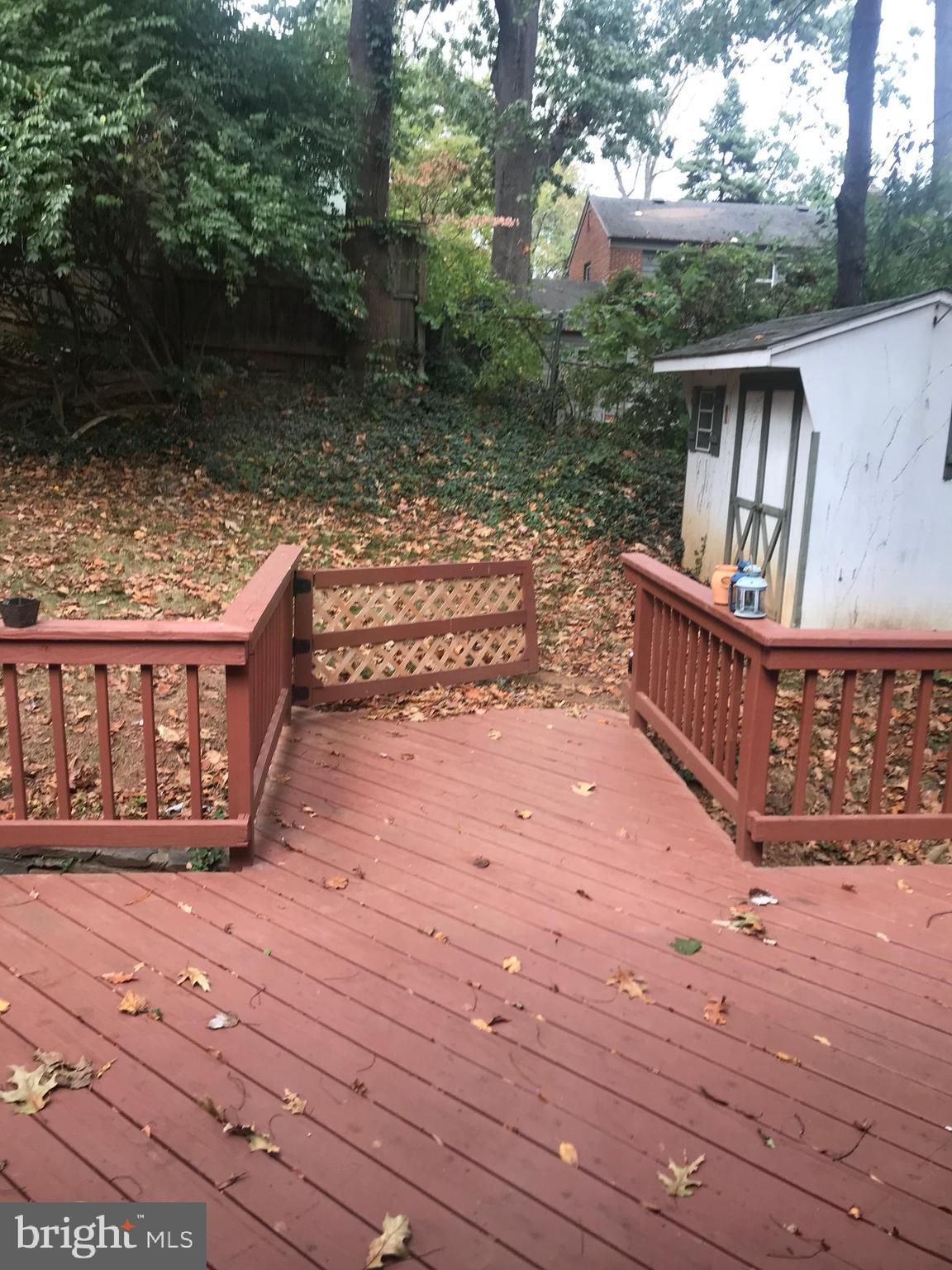 MAPLEWOOD - Residential Lease