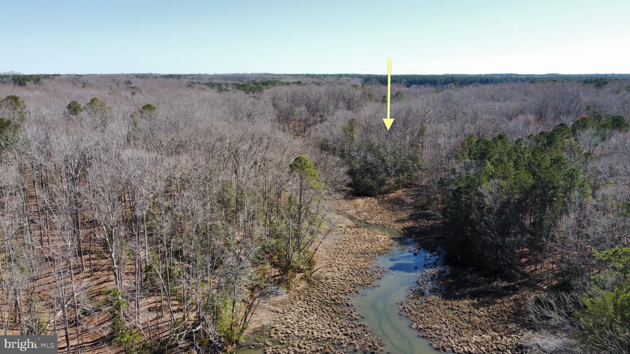 Discover the perfect canvas for your dream home on Lot 13 in the prestigious Glenwood neighborhood of Irvington, Virginia. No HOA just a $400 annual road maintenance fee. This expansive 3+ acre building site is a rare peninsula, uniquely embraced by the headwaters of Carter’s Creek, delivering stunning 180-degree marsh views that redefine tranquility and natural beauty. While the water isn’t navigable for larger boats, adventurous kayakers will relish the chance to paddle from the headwaters, exploring the serene surroundings that wrap around this exceptional lot. The property boasts a level plateau, perfect for construction, flanked by gentle ravines on either side that enhance privacy and create a natural buffer. Towering old-growth hardwoods and vibrant mountain laurel grace the landscape, adding character and a touch of natural charm to this already picturesque setting. Whether you envision a sprawling estate or a cozy retreat, this peninsula offers endless possibilities framed by its breathtaking vistas. Living in Glenwood means enjoying the best of both worlds—seclusion and convenience. A short bike ride takes you into the charming town of Irvington, known for its quaint shops and welcoming community. The private road ensures a quiet, exclusive feel, while high-speed internet keeps you connected. Lot 13 is more than just land; it’s an opportunity to build your legacy on a one-of-a-kind peninsula in one of Irvington’s finest neighborhoods. Don’t miss your chance to claim this rare gem.