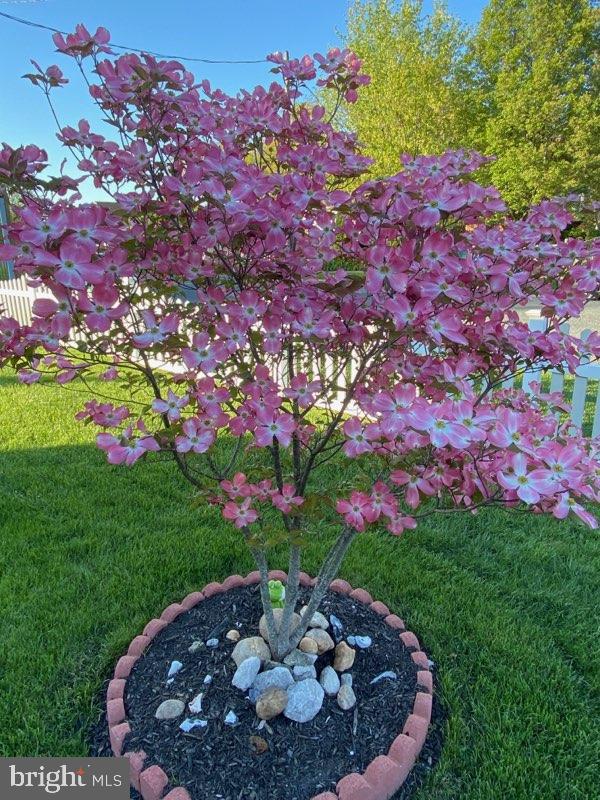 MOUNT RIDGE - Residential