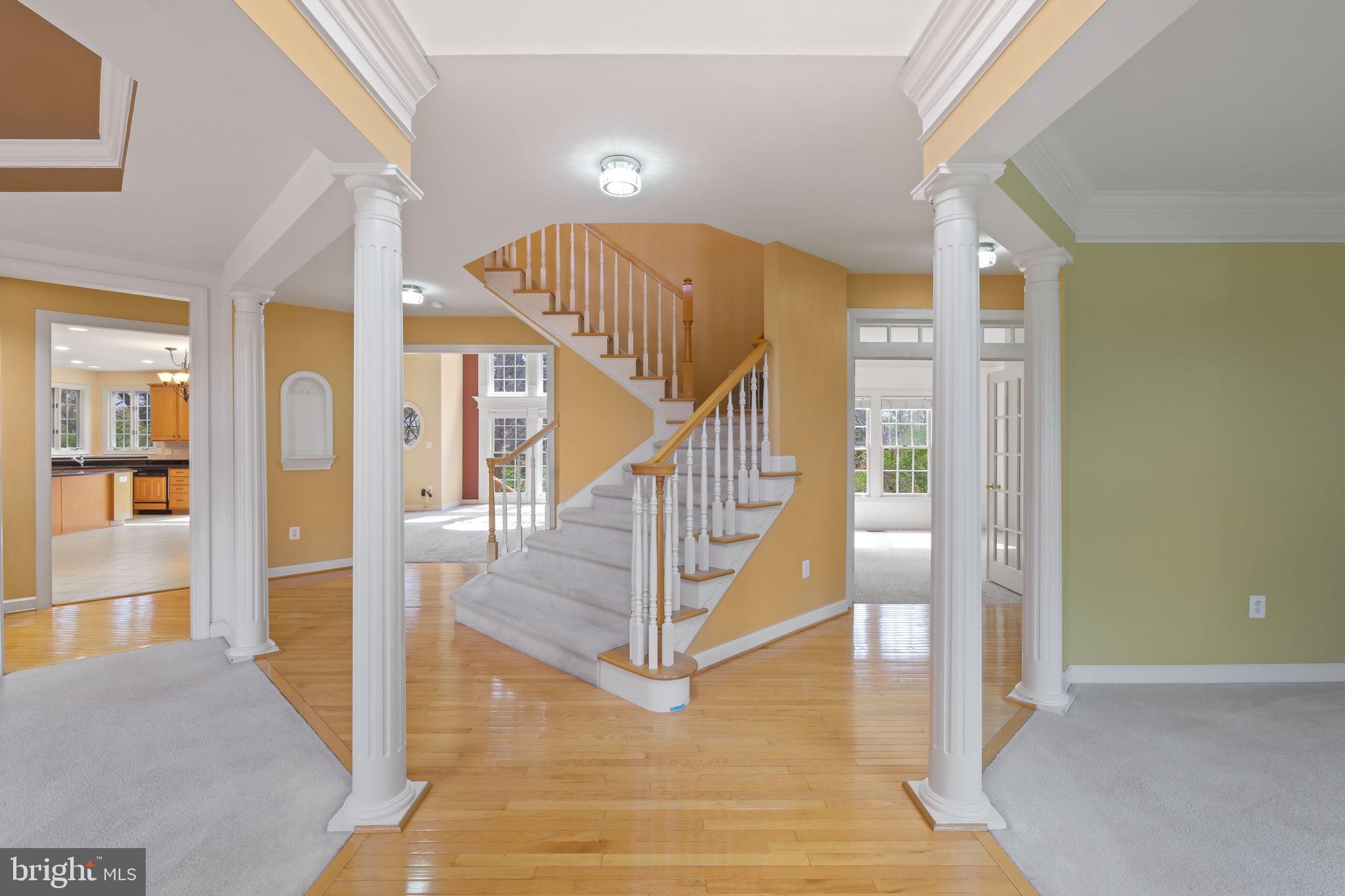 GLEN MILL KNOLLS - Residential