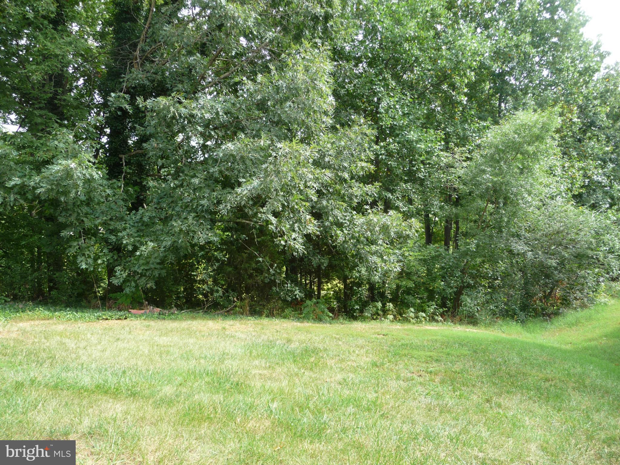 BALLANTRAYE - Residential