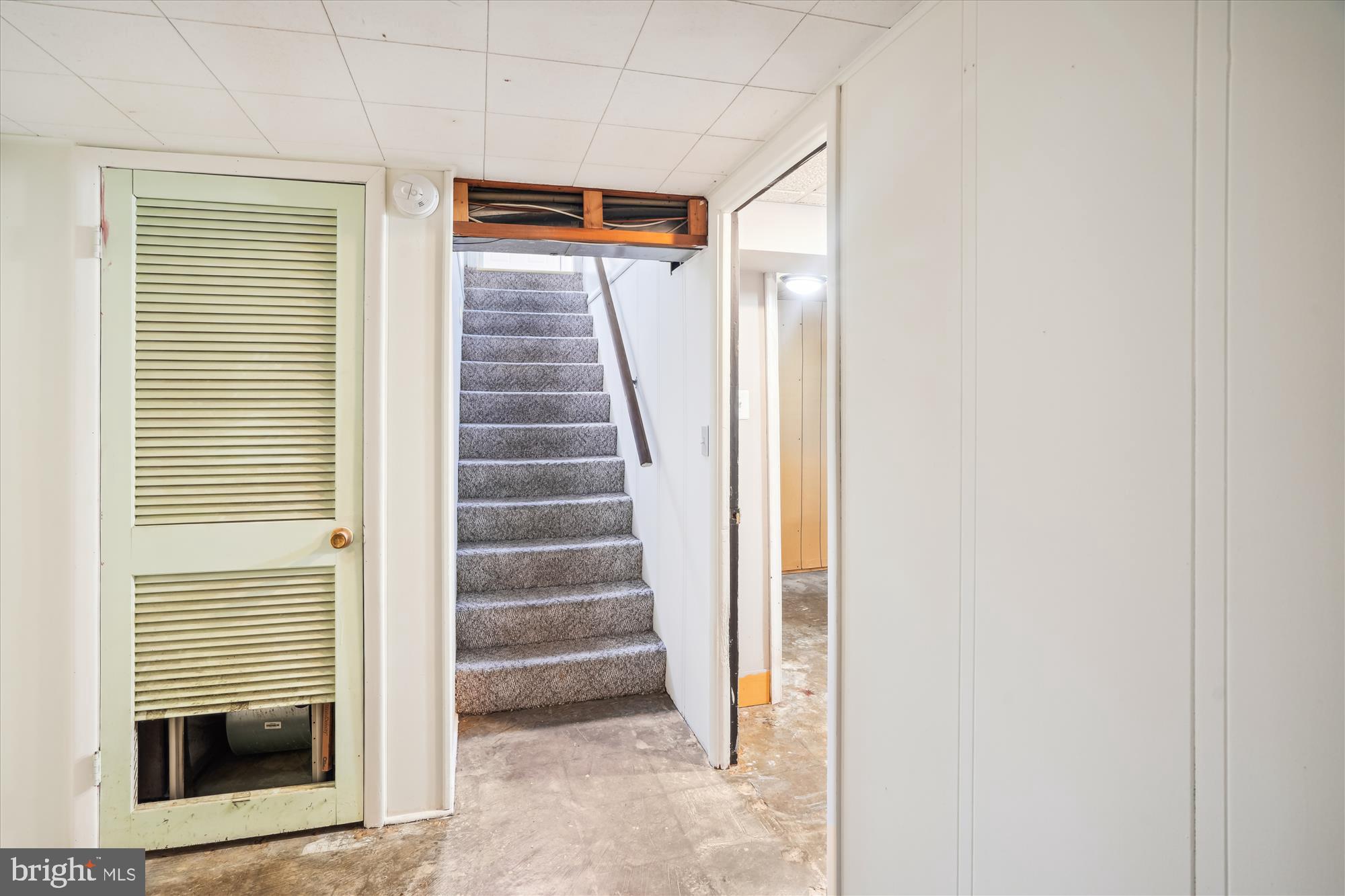 GLENMONT FOREST - Residential