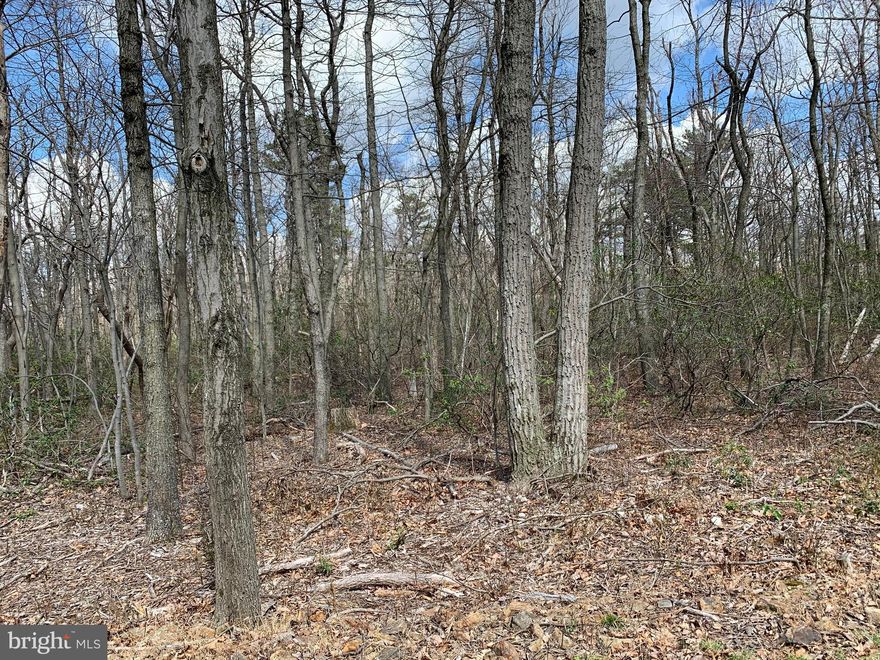 Looking for a chance to purchase a lot as a getaway?  Shawneeland mountain top level lot a short distance off of Timber Ridge Trail.    Lot offers a less traveled side road location, easy for access.  This is a sanitary district and the unimproved lot fee is $190/year.  Enjoy hiking, fishing & swimming in the community, a short distance from Winchester Contact me today for info on this lot and others in the community!