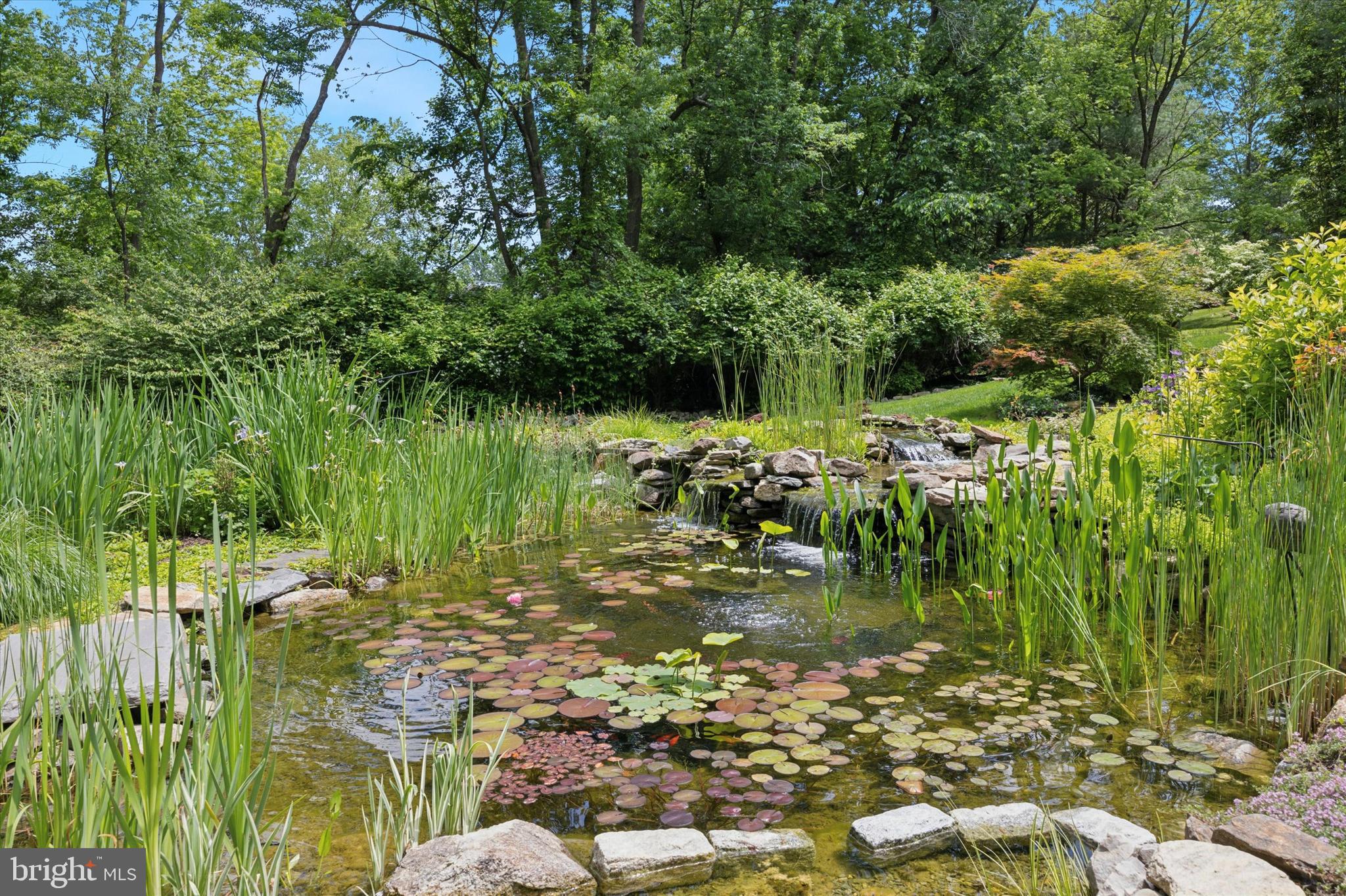 CHALFANT ST GILES - Residential