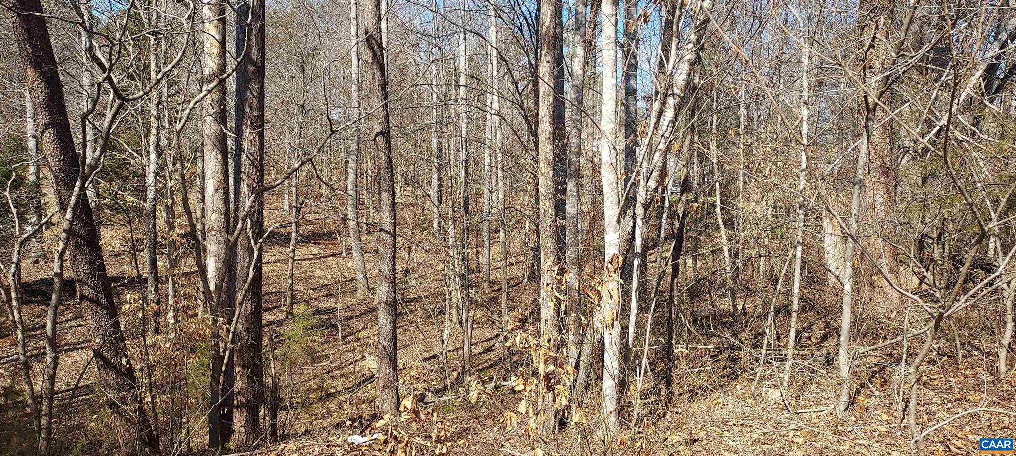 LAKE MONTICELLO - Land