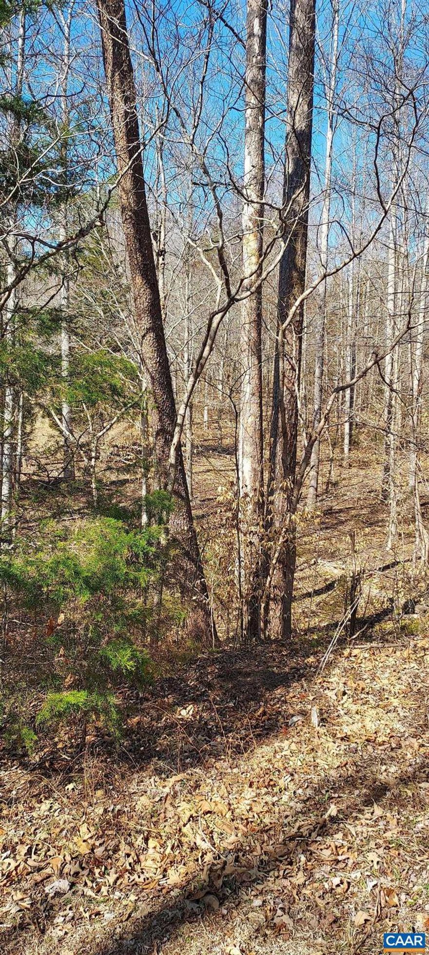 Desirable building lot located on the inside Gated Section of beautiful Lake Monticello.   Close to the Monish exit gate & just a short stroll to the Fishing Lake.  Lake Monticello offers 5 swimming beaches, a fishing & boating lake, pickleball & tennis courts, 3 playgrounds, clubhouse, pool and only 25 min. drive to Charlottesville.  Come see why Lake Monticello is like vacationing at home everyday.