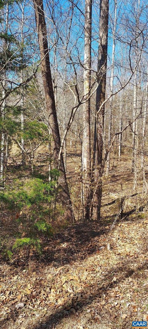 Vacant Land For Sale - 460 Jefferson #435<br/> PALMYRA, VA 22963