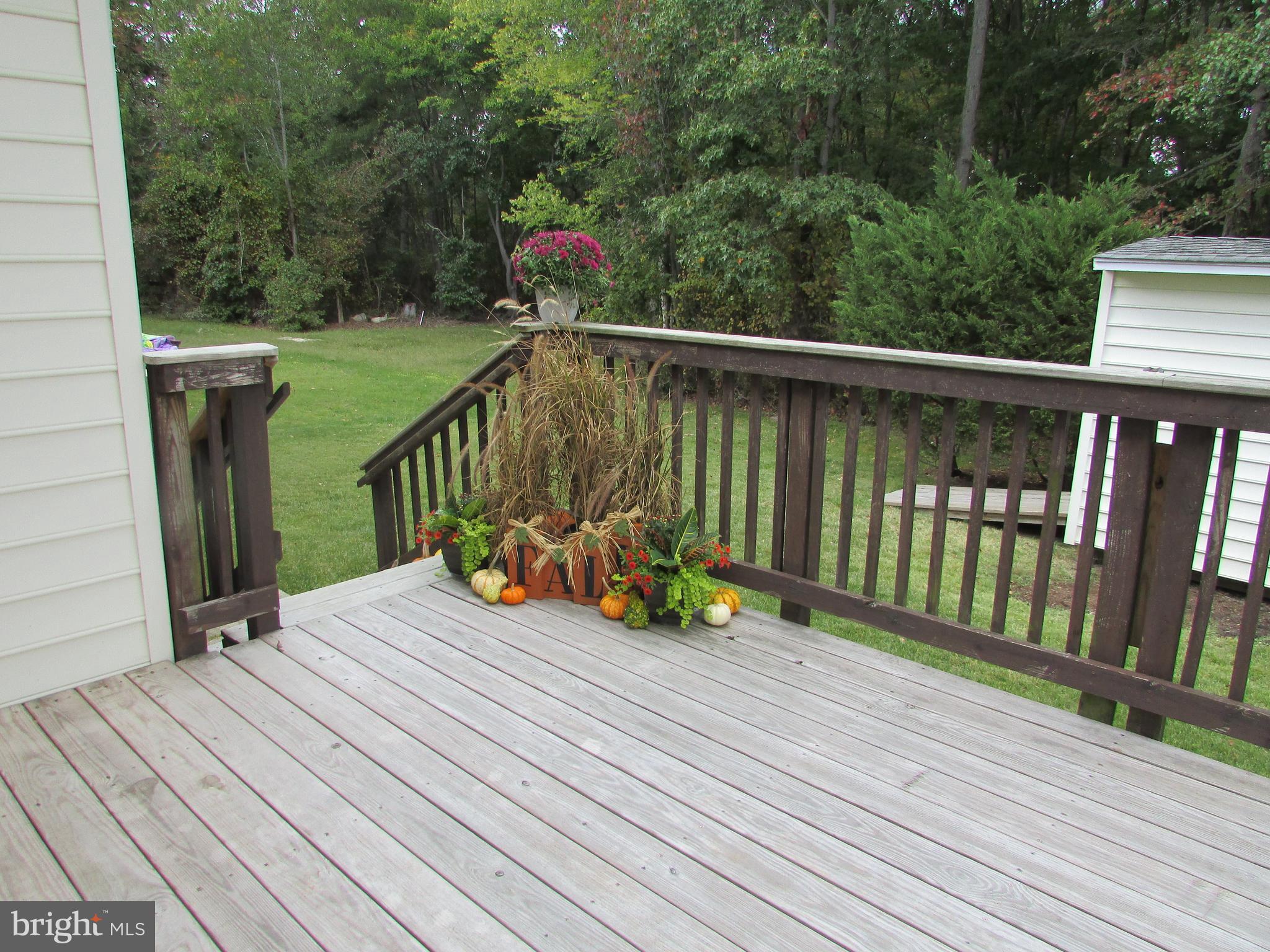 DORCHESTER NEIGHBORHOOD - Residential