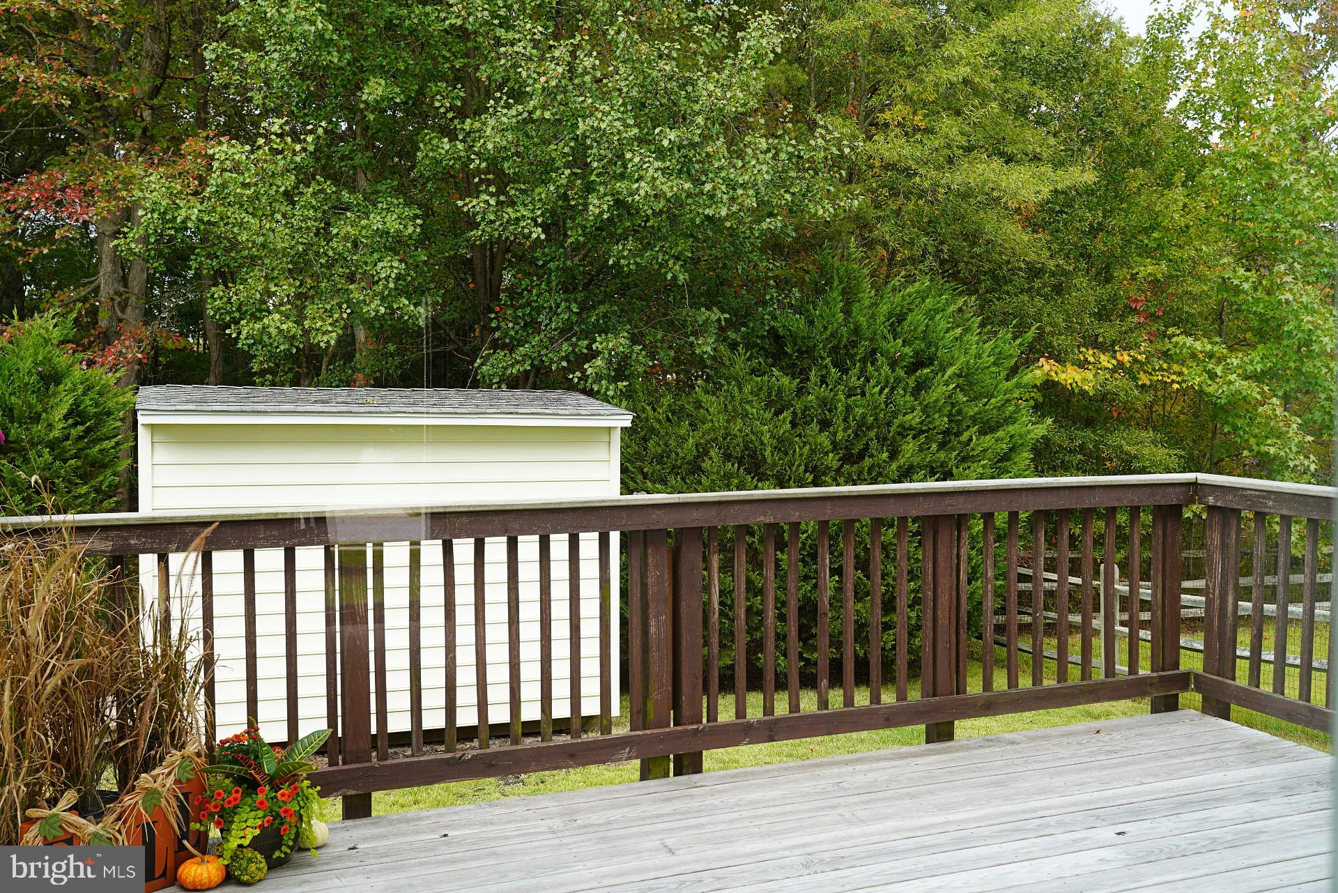 DORCHESTER NEIGHBORHOOD - Residential