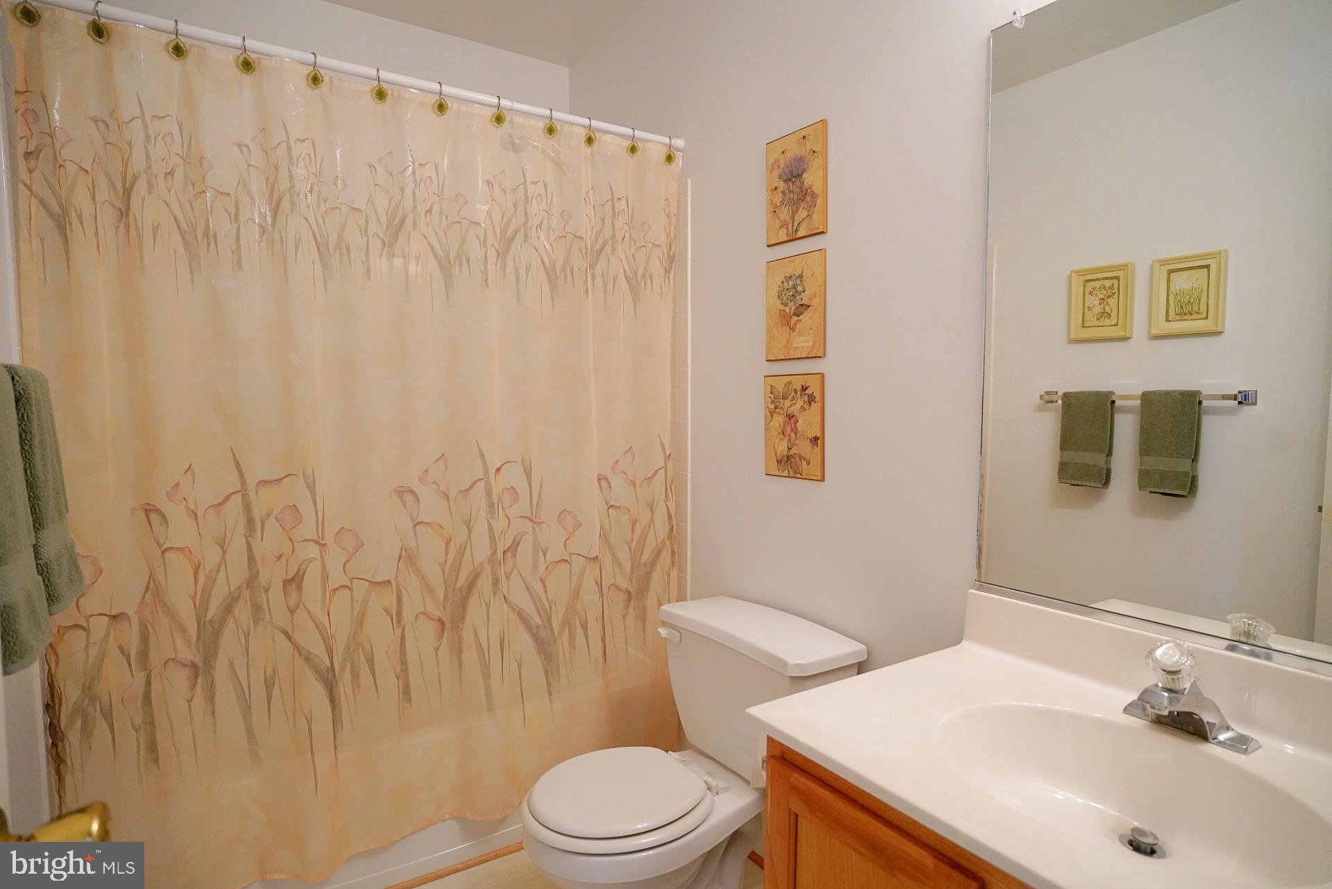 DORCHESTER NEIGHBORHOOD - Residential