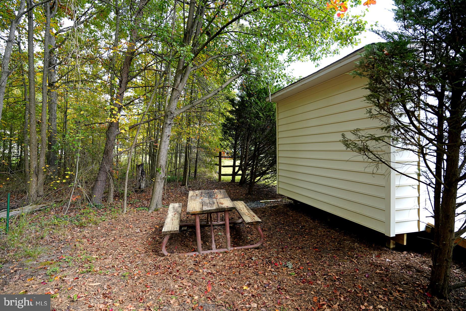 DORCHESTER NEIGHBORHOOD - Residential