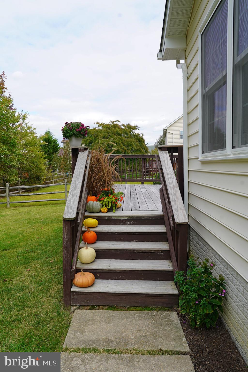 DORCHESTER NEIGHBORHOOD - Residential