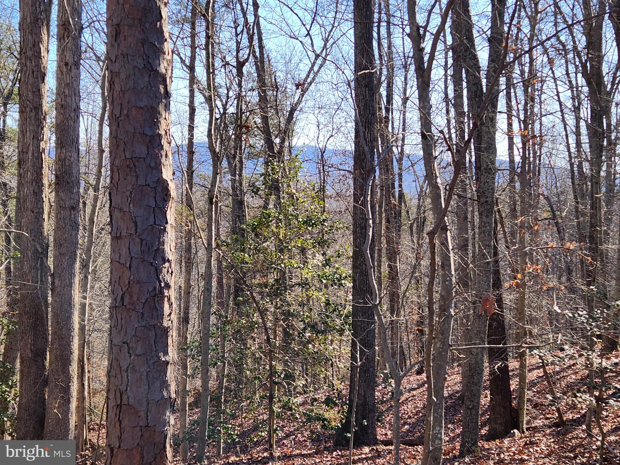 NONE AVAILABLE - Land