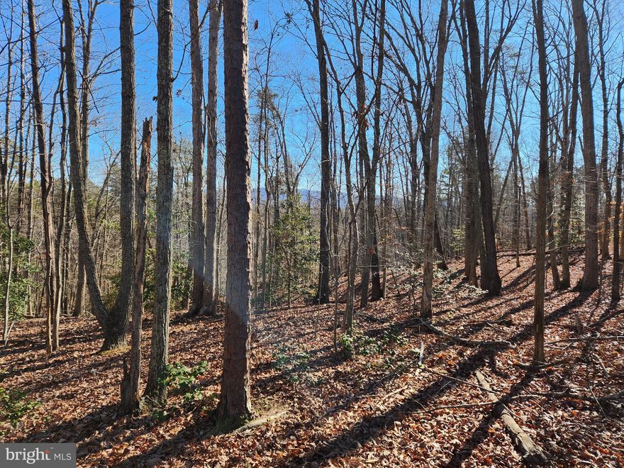 Barboursville 5 Acres Rectangular Lot, Less than 5 Miles to Rt 29 in Ruckersville, Less than 1 mile to Albemarle Co. Line, Approx. 10 Miles to Charlottesville-Albemarle Airport, 17 Miles to UVA Medical Ctr. The lot is large enough and with a slope to build a home with a basement, (Some examples of homes similar to be built for slope) Recommend building a home to take advantage of the Views of surrounding mountains. 278 ft. of Road Frontage, Quiet Road, Convenient Location! There are a few places to put a home, you and your builder's imagination! FYI Comcast Internet/Wifi and FiberLync on Road, your choice!