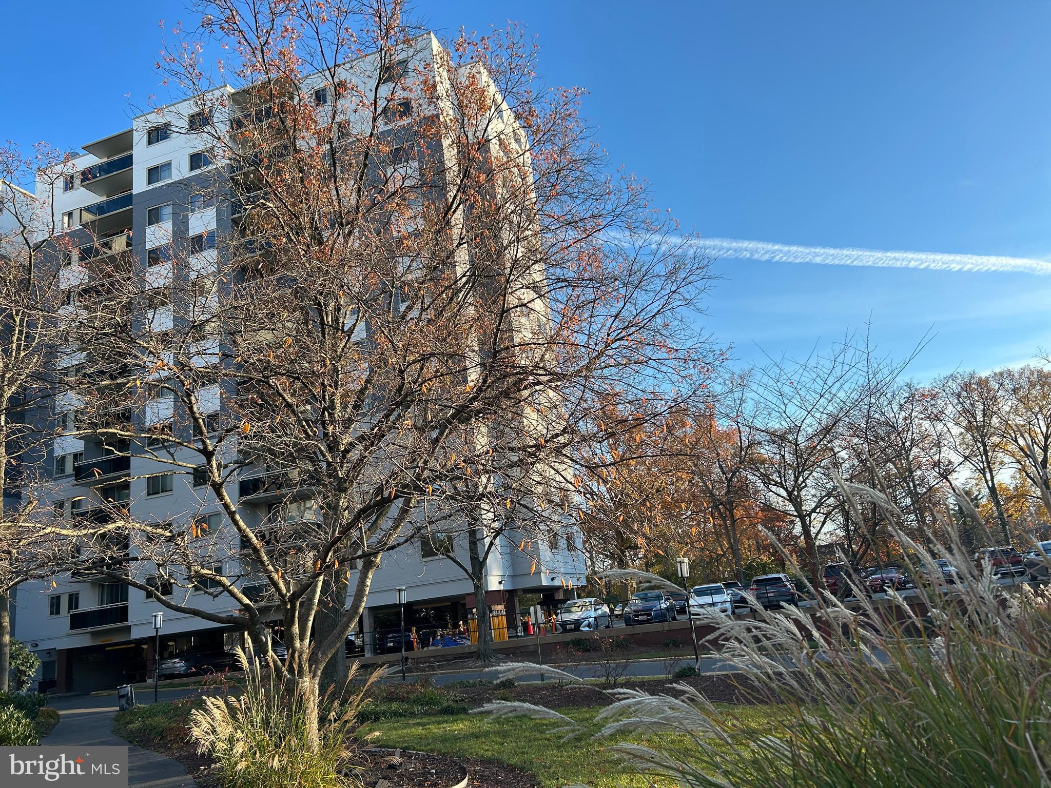 TAKOMA PARK - Residential