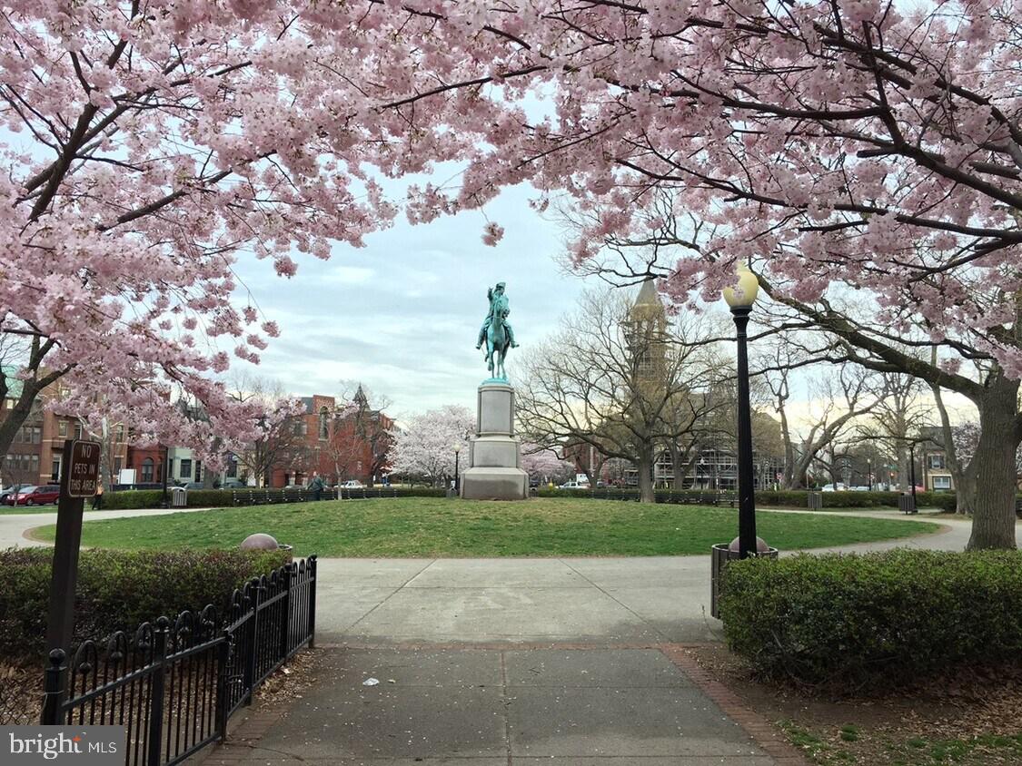 CAPITOL HILL - Commercial Sale