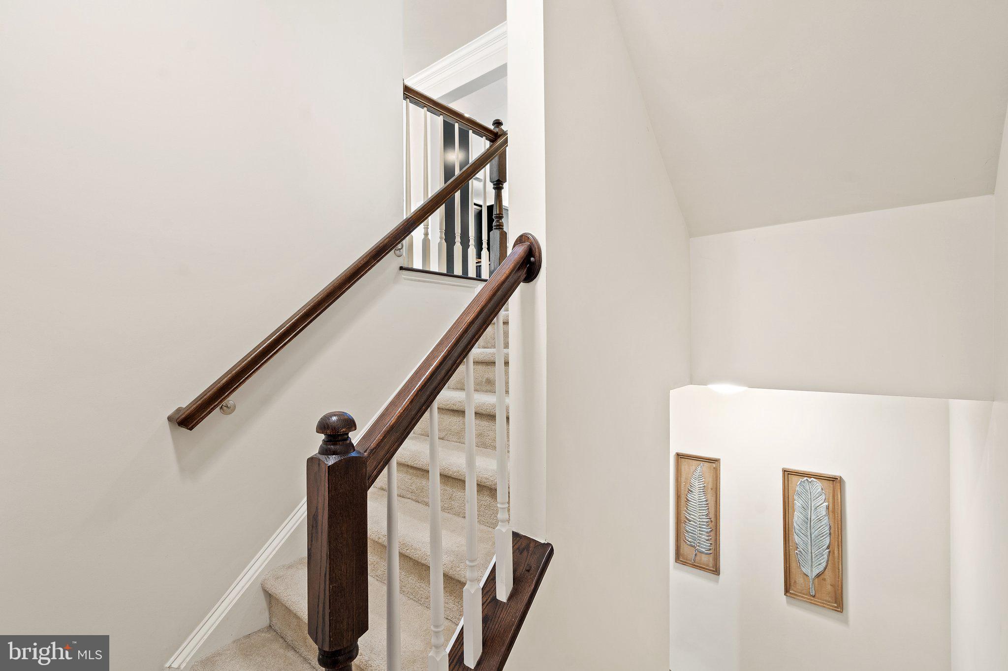 BUCKINGHAM AT LOUDOUN VALLEY - Residential