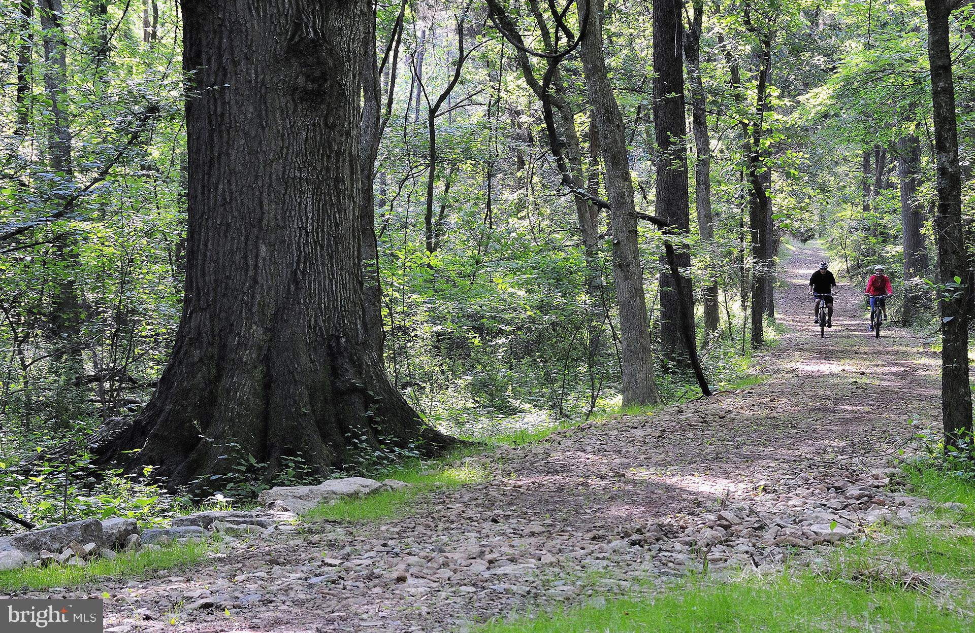 WILLOWSFORD - Residential