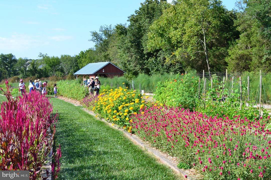 WILLOWSFORD - Residential