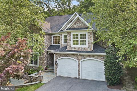 4556 COLLEGE AVENUE ELLICOTT CITY MD 21043