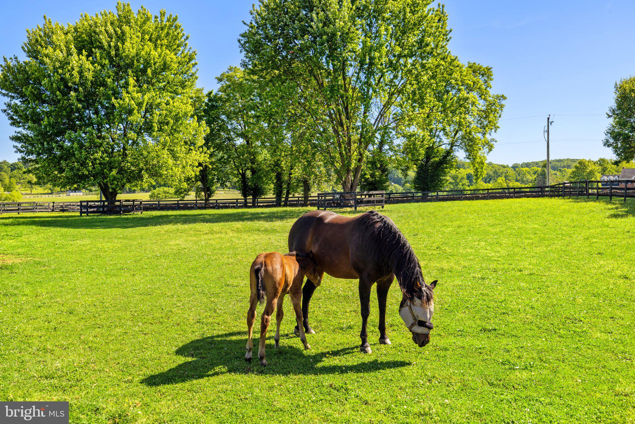 LODGE LAND FARMS - Residential