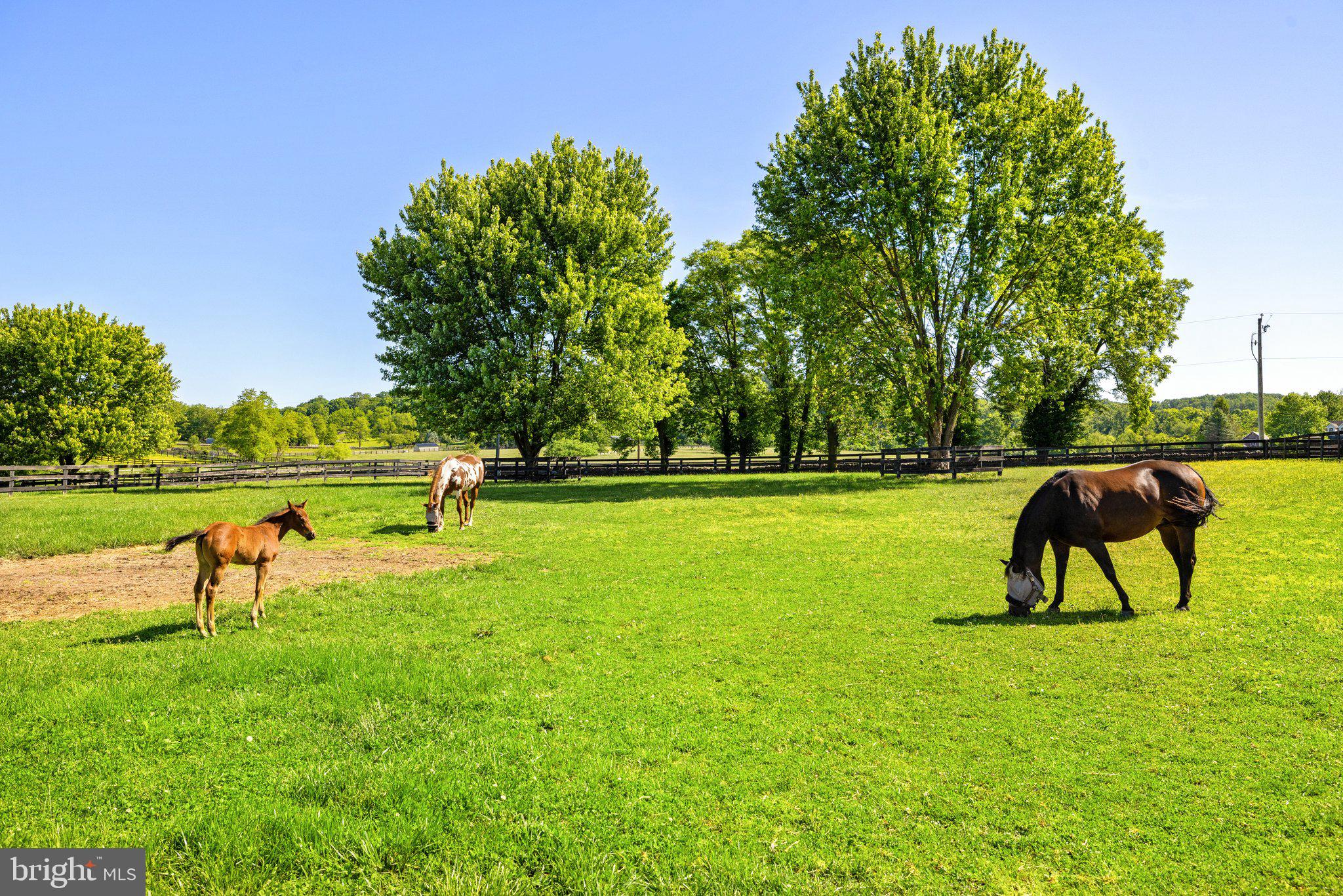 LODGE LAND FARMS - Residential