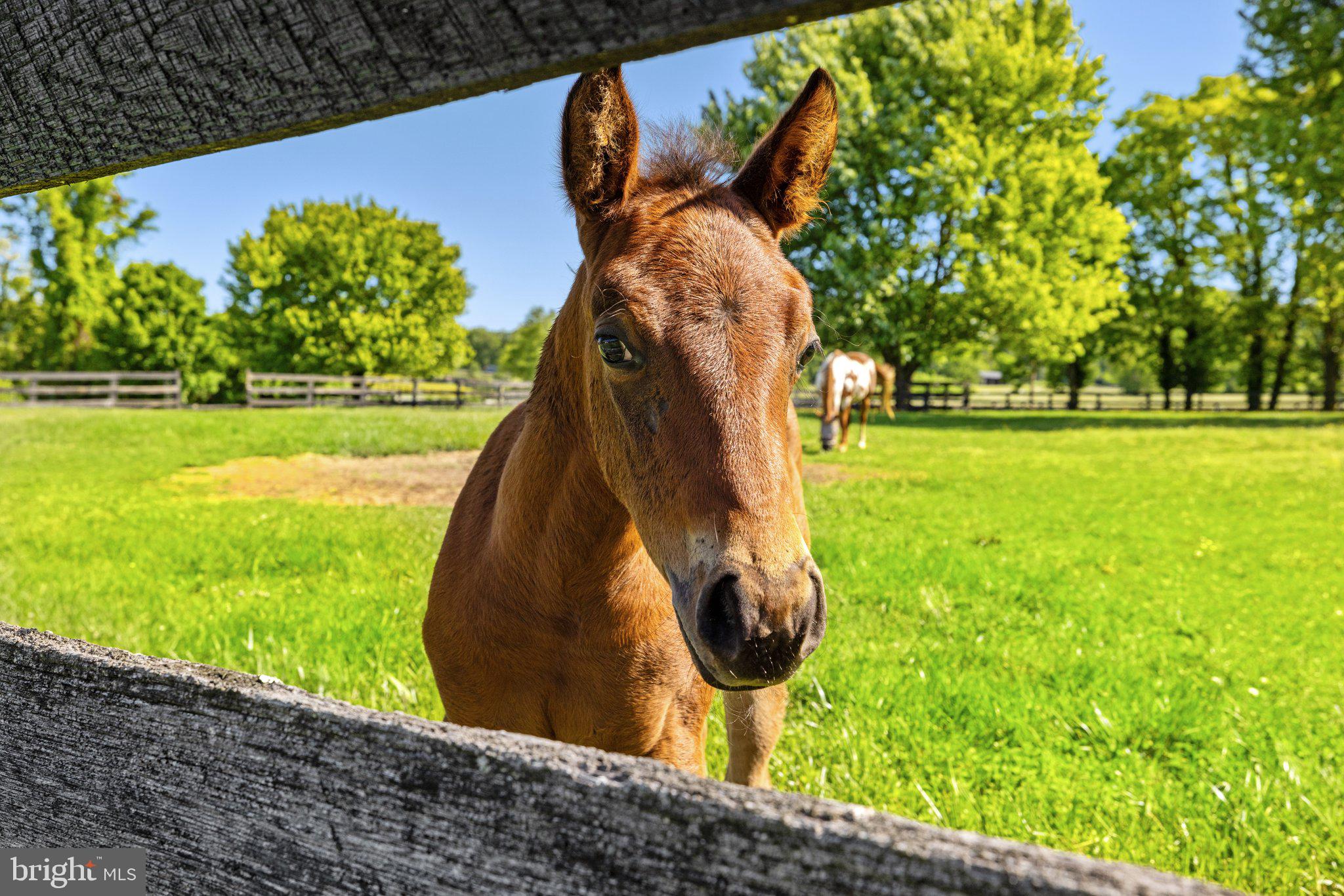 LODGE LAND FARMS - Residential