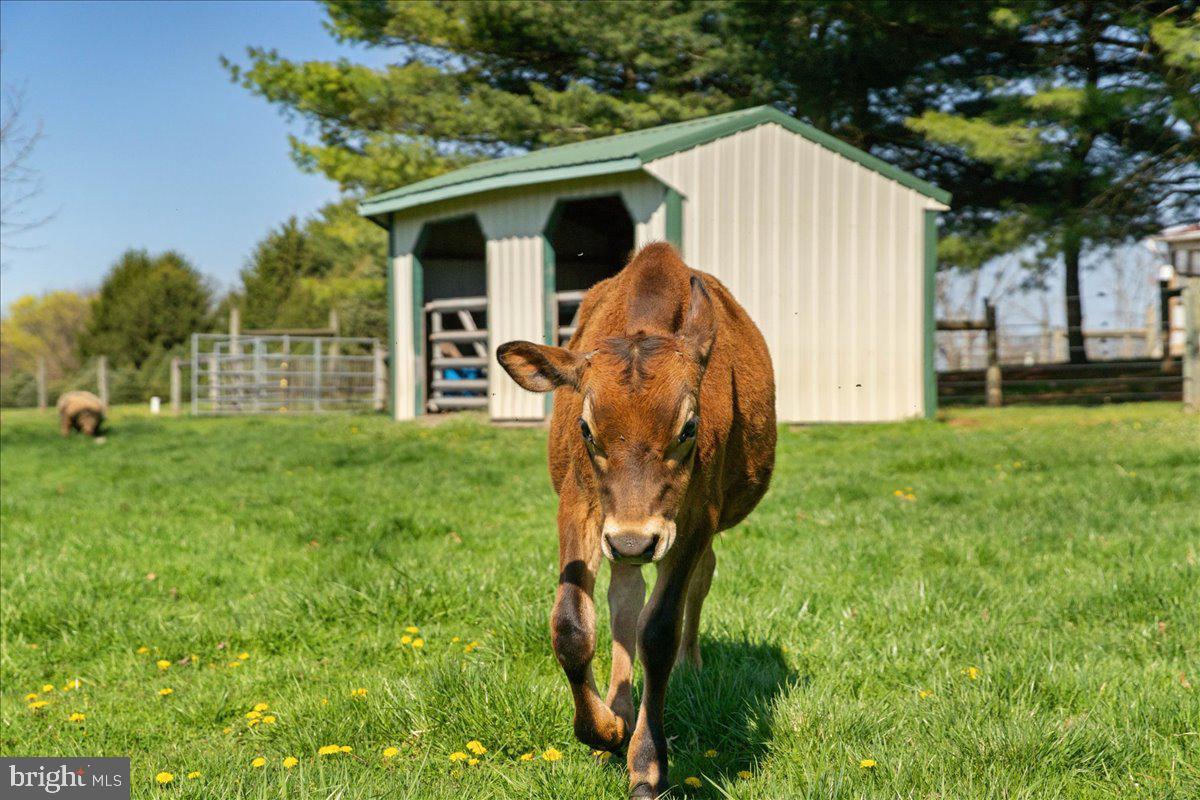 NONE AVAILABLE - Farm