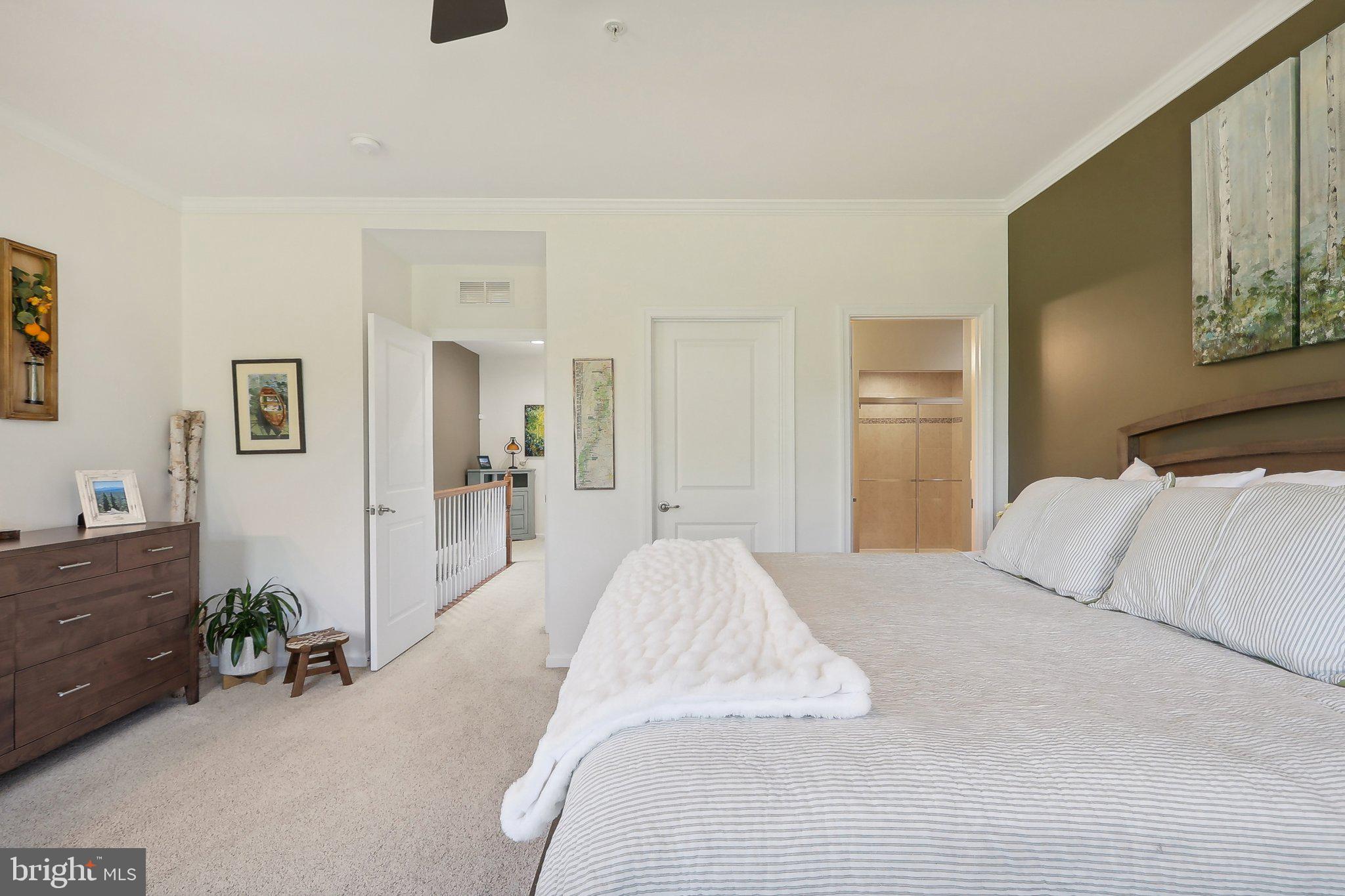 MORLEY CORNER - Residential