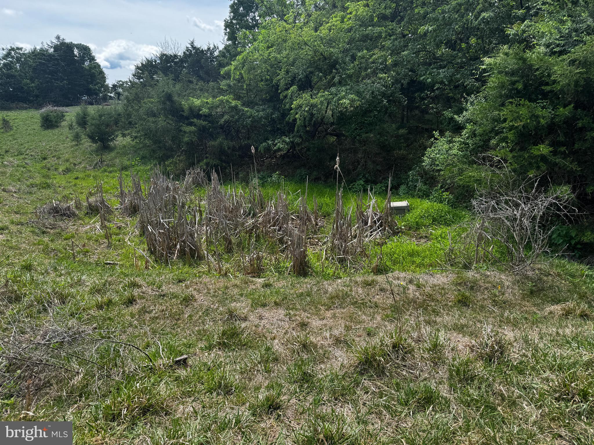 140 HUTTLE ROAD, STEPHENS CITY, VA, 22655 140 HUTTLE ROAD
