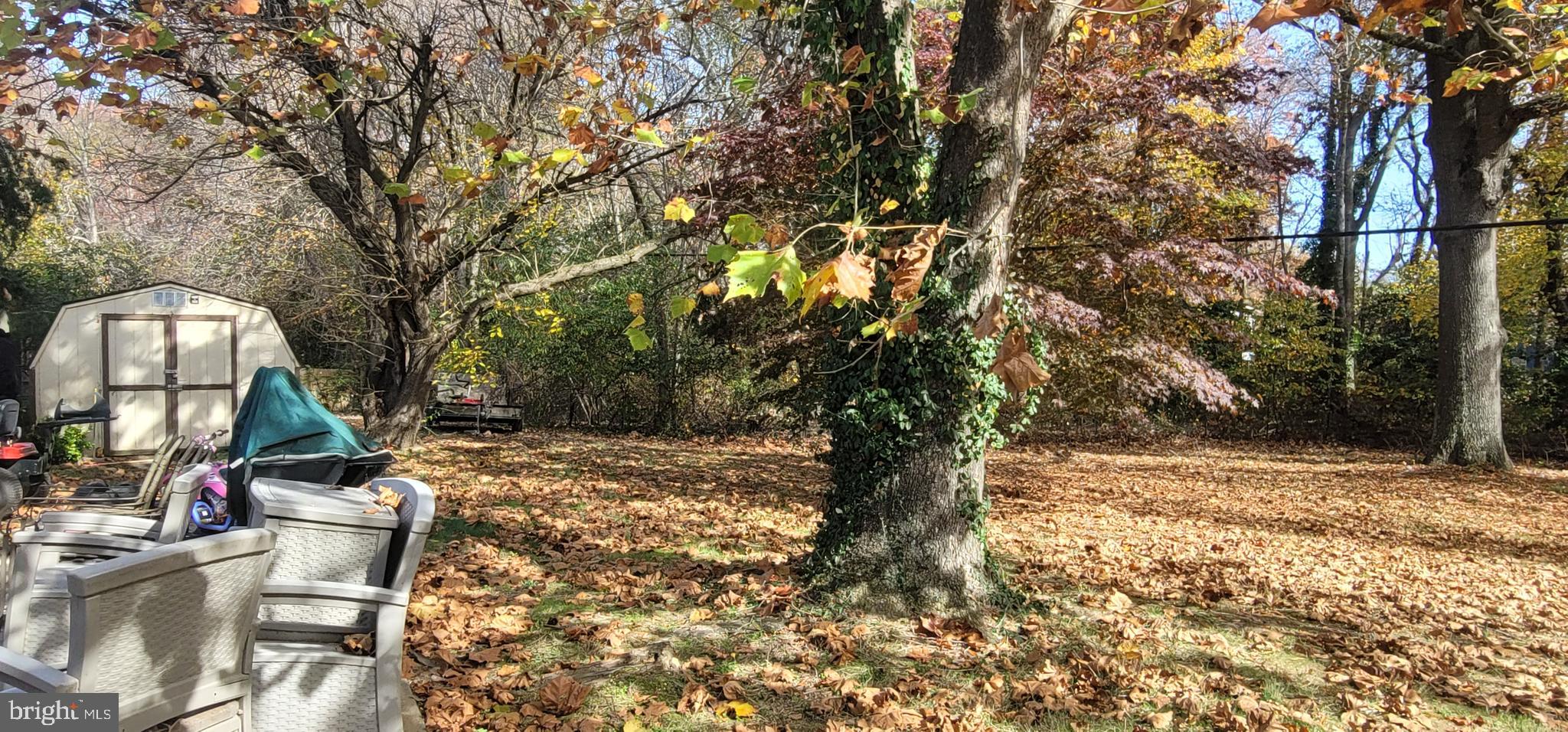 CARRINGTON - Residential