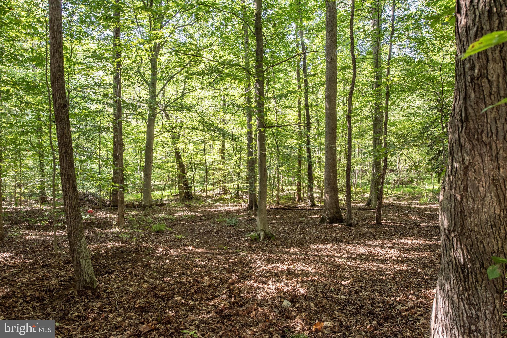 HOLLY BROOK/SPRINGVALE - Residential